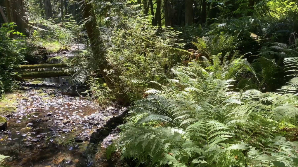 FB Momentum Week #3 Mental Health Focus: Guided Visualization for Exercise