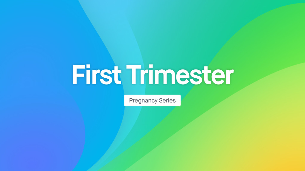 FB Pregnancy Series: First Trimester Phase